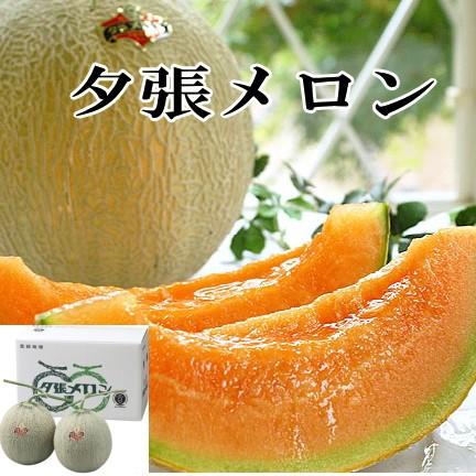 夕張メロン」優品（約1.3kg）×2玉 ※7月上旬からのお届けとなります