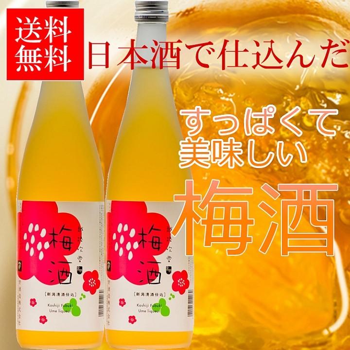 梅酒 日本酒仕込み 越路吹雪 720ml 2本 セット 日本酒梅酒 日本酒ベース お酒 プレゼント ギフト 新潟 高野酒造