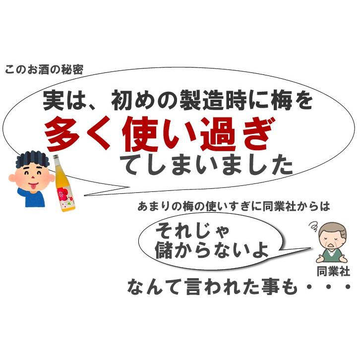 梅酒 日本酒仕込み 越路吹雪 720ml 2本 セット 日本酒梅酒 日本酒ベース お酒 プレゼント ギフト 新潟 高野酒造