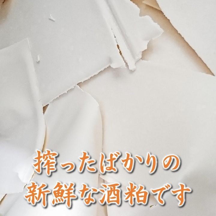 酒粕 さけかす 酒かす 500g 10個 まとめ買い 板粕 越路吹雪 甘酒