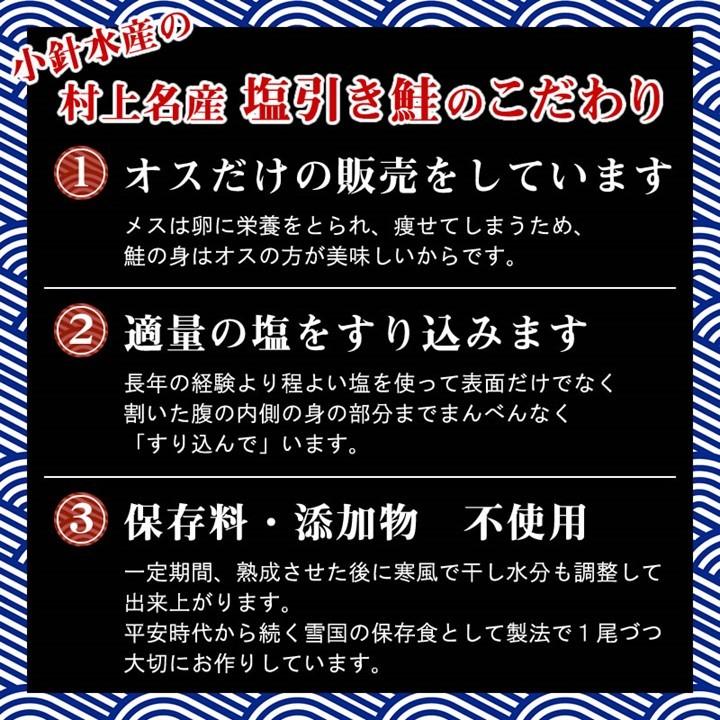 村上名産 塩引き鮭 10切 セット 化粧箱入 新潟県 小針水産 塩引鮭 塩引き 鮭 サーモン サケ 切り身 魚 プレゼント ギフト ご飯のお供｜takano-shuzo-y｜02