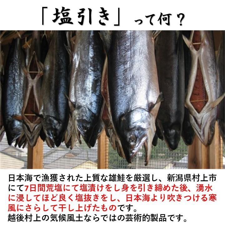 村上名産 塩引き鮭 10切 セット 化粧箱入 新潟県 小針水産 塩引鮭 塩引き 鮭 サーモン サケ 切り身 魚 プレゼント ギフト ご飯のお供｜takano-shuzo-y｜03