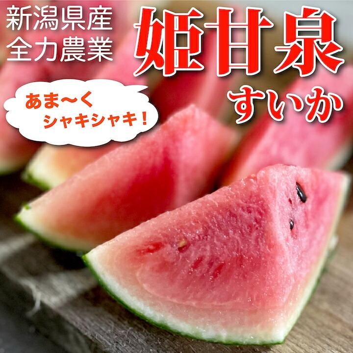 すいか 小玉スイカ 姫甘泉 1.3kg前後×4玉 新潟産 糖度13度 果物 すいか 小玉スイカ 姫甘泉 1.3kg前後×4玉 新潟産 糖度13度 果物