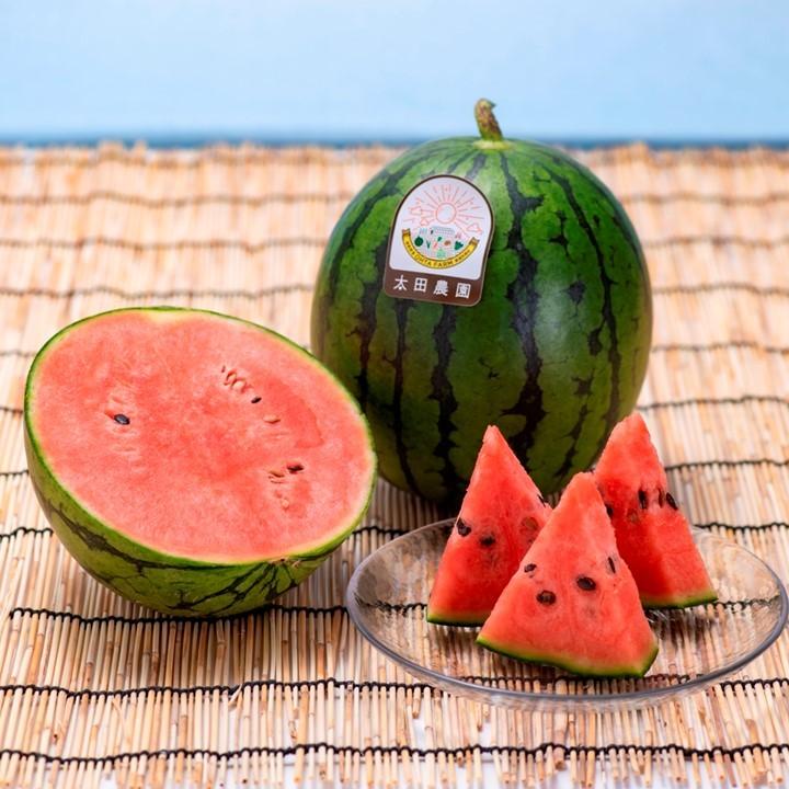 すいか 情熱小玉スイカ 姫甘泉 1 5kg前後 4玉 新潟産 糖度13度 特別栽培認証 果物 新潟県 太田農園 8151 越後酒蔵 高野酒造 Yahoo 店 通販 Yahoo ショッピング
