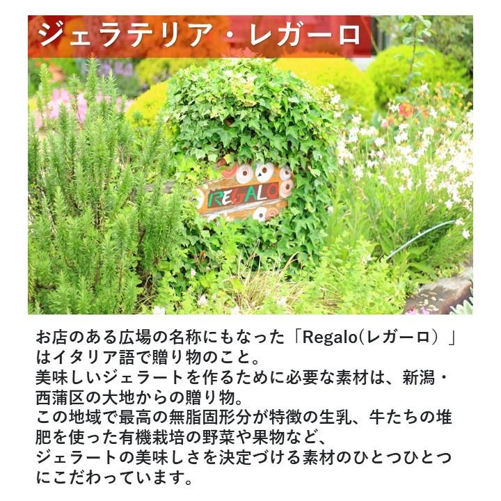 アイス ジェラート 12個セット 新潟 岩室 ジェラテリア レガーロ