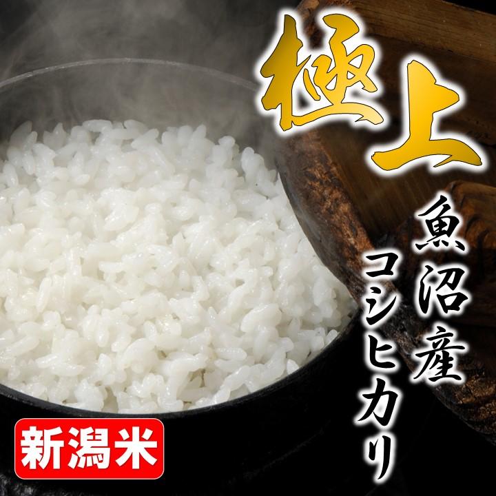 米 5kg 極上 魚沼米 コシヒカリ 令和5年産 新米 新潟県産 お米 5キロ 白米 魚沼産 こしひかり ギフト プレゼント｜takano-shuzo-y｜02