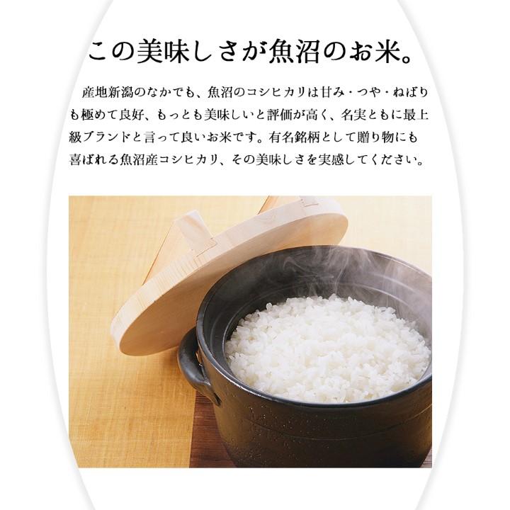 米 10kg (5kg×2袋) 魚沼コシヒカリ 令和5年産 新米 新潟県産 お米 10キロ 白米 魚沼産 こしひかり ギフト プレゼント｜takano-shuzo-y｜03