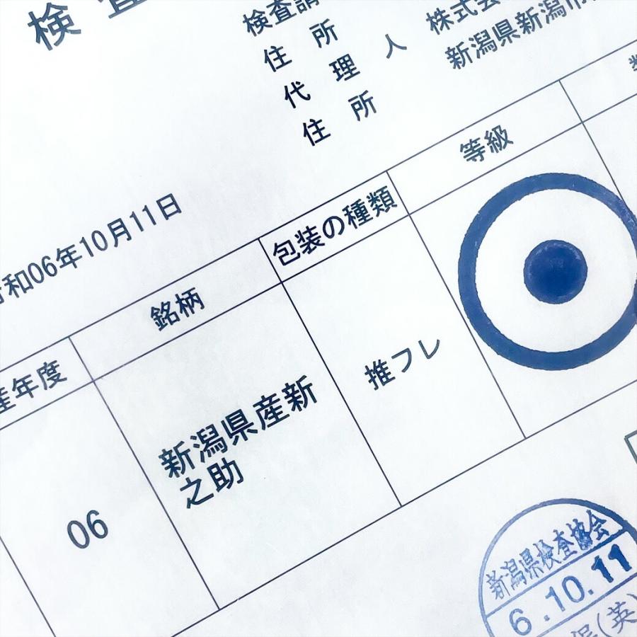 新之助 米 5kg 令和6年産 新潟県産 お米 5キロ 白米 新潟県