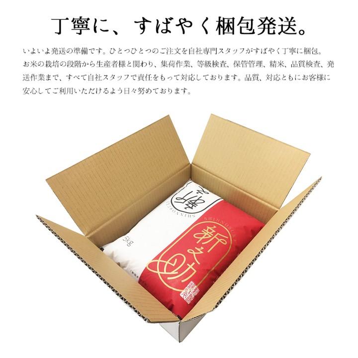 新之助 米 5kg 令和6年産 新潟県産 お米 5キロ 白米 新潟県