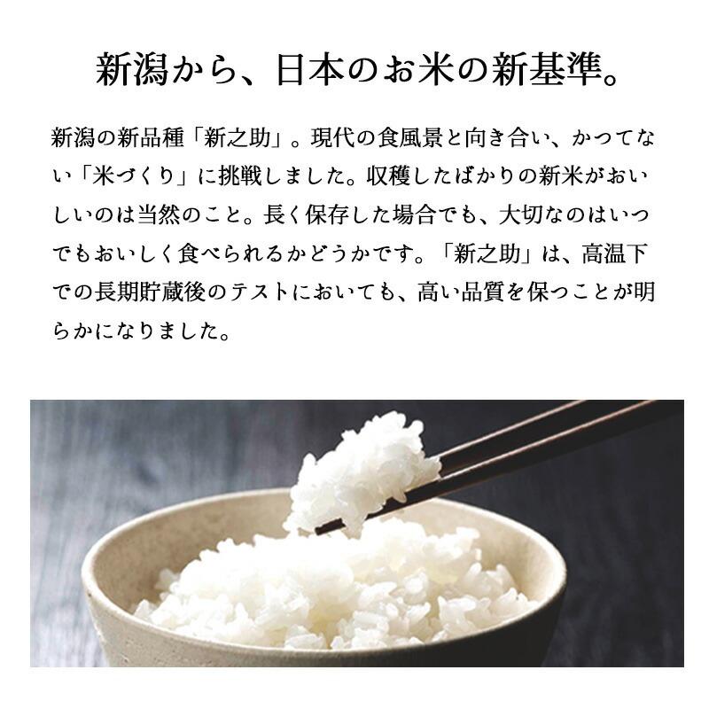 新之助 米 10kg (5kg×2袋) 令和6年産 新潟県産 お米 10キロ 白米 新之助 米 10kg (5kg×2袋) 令和6年産 新潟県産 お米 10キロ 白米