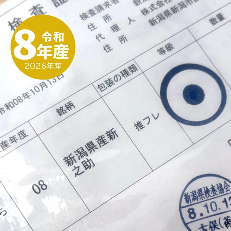 新之助（しんのすけ） 新米 令和8年産 米 10kg (5kg×2袋) 新潟県産 お