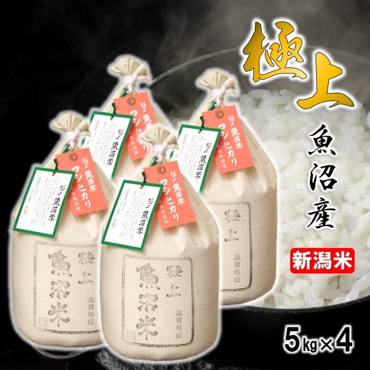 米 20kg (5kg×4袋) 極上 魚沼米 コシヒカリ 令和6年産 新潟県産 米 20kg (5kg×4袋) 極上 魚沼米 コシヒカリ 令和6年産 新潟県産