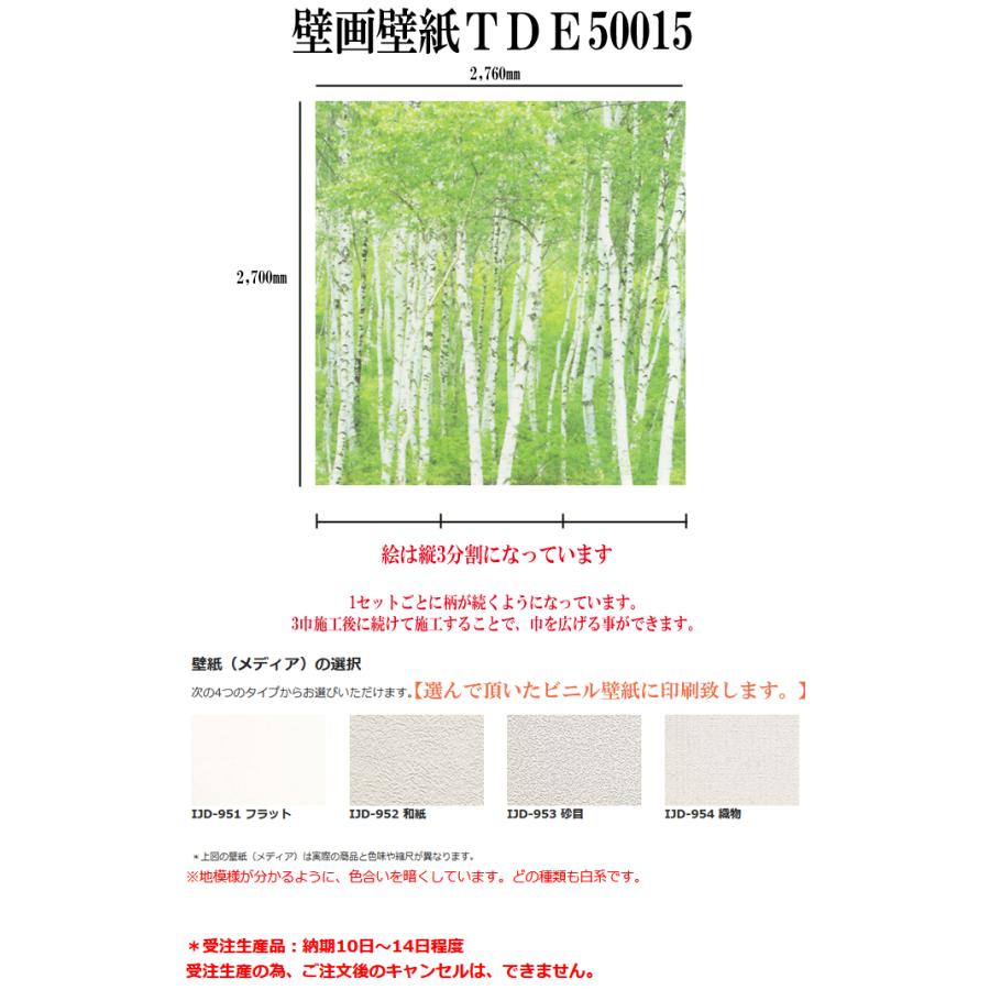 Tde 縦3分割 Diy 工具 森の中の壁画壁紙tde 壁紙 内装材料店 住宅設備 インテリアnetタカノ 糊無し 受注生産品 納期10日 14日程度