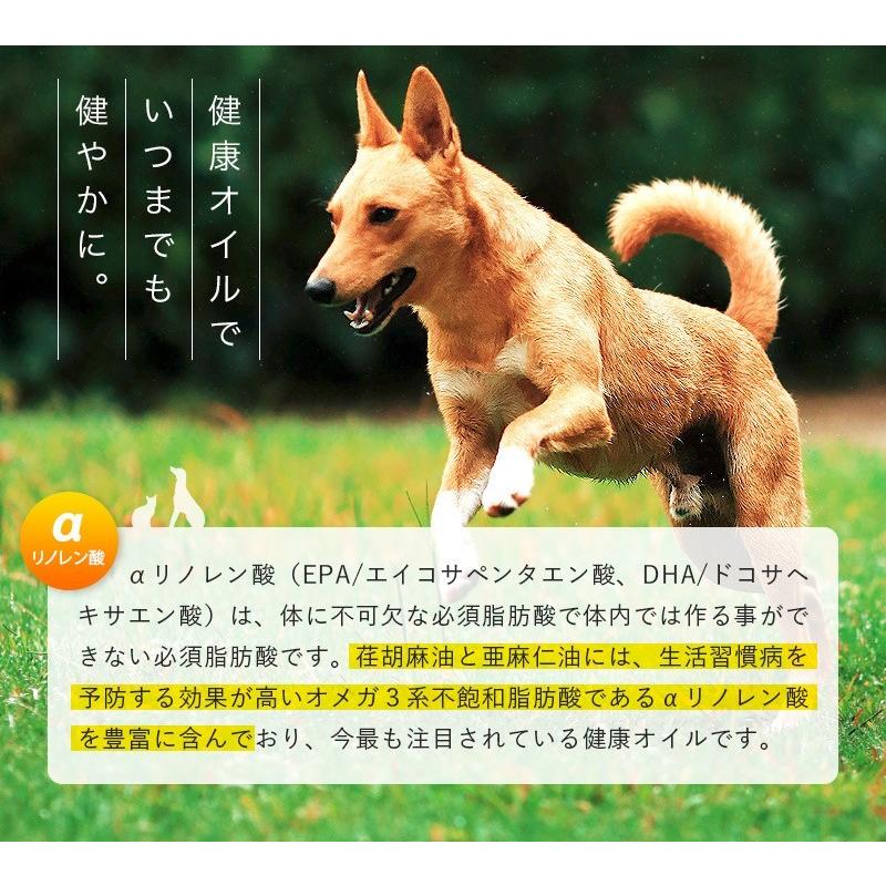 荏胡麻油 えごま油 50ml 2瓶 ペット用 犬 猫 荏胡麻 エゴマ油 無添加 低温圧搾 オメガ3 エゴマオイル 国内搾油 小豆島 オリーブアイランド Ego P50 2 Oliveisland Yahoo 店 通販 Yahoo ショッピング