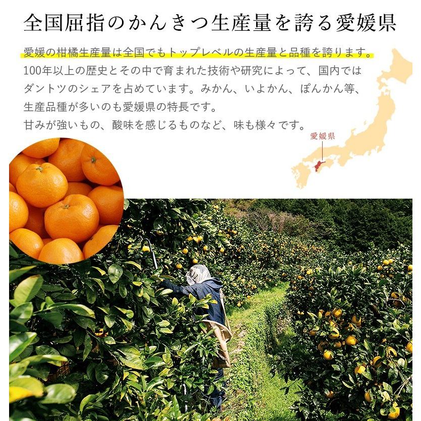 ひめのおもてなしジュレ 選り取り6袋セット みかん 伊予柑 ぽんかん 河内晩柑 Hj 6 Oliveisland Yahoo 店 通販 Yahoo ショッピング