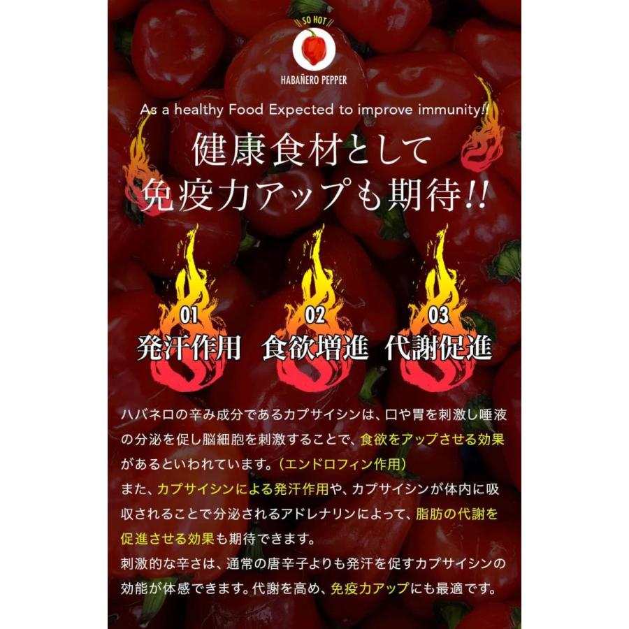 20%オフ！グルメラバーズEVOOフレーバーオイル「チリ（赤唐辛子）」5本