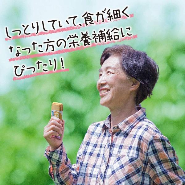 江崎グリコ バランスオンminiケーキ チョコブラウニー (20×12)240入 (Y10) 本州一部送料無料 | バランスオンminiケーキ | 05