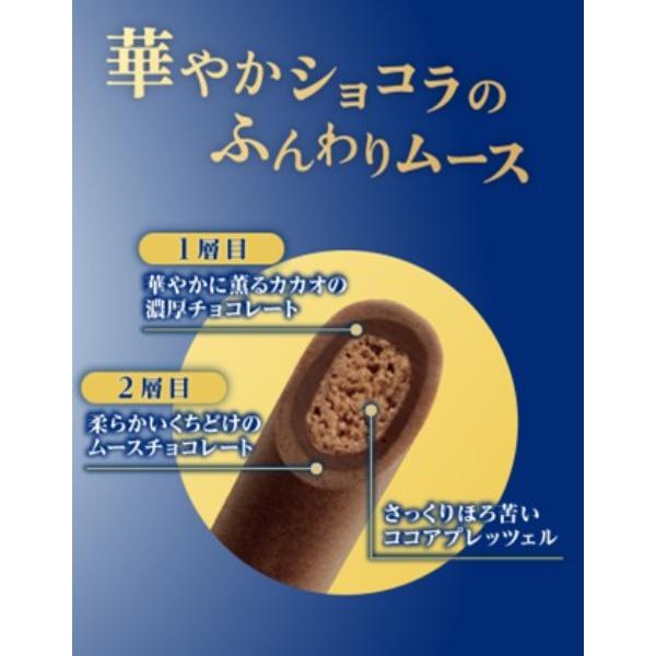 Pocky 江崎グリコ ポッキー2層仕立て 薫るカカオ 2袋×10入
