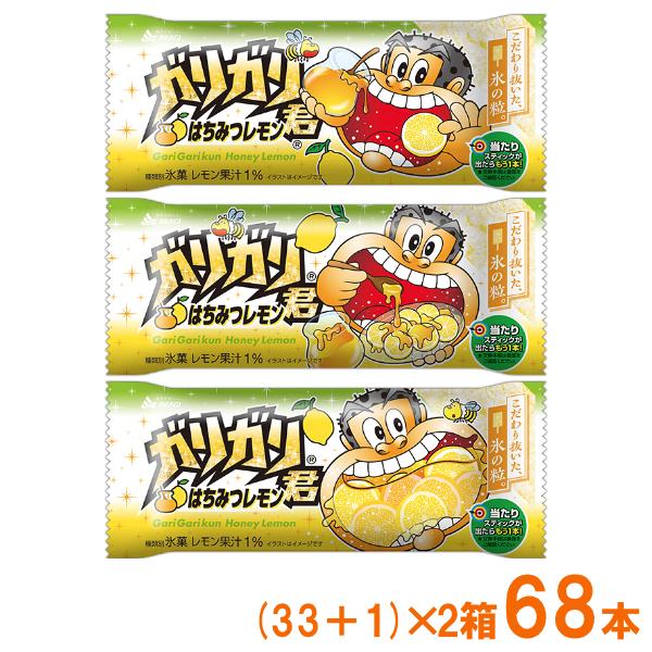 サニー　カムイピリカ12kg(3kg×4袋)　＋スーパーカムイ1kg ガリガリ君 赤城乳業 はちみつレモン (33+1)×2箱 68本入 (あすつく