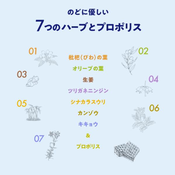 Kanro（カンロ） ボイスケアのど飴 個包装タイプ 70g×5袋セット (最短