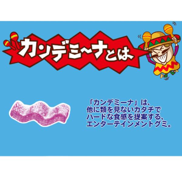 カンロ カンデミーナグミ スーパーベスト 72g×6入 (ハードグミ グミ お菓子 おやつ)｜takaoka｜04