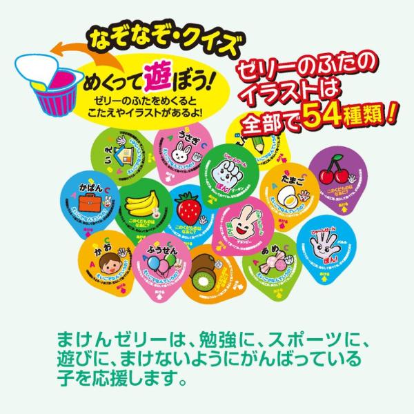 杉本屋製菓 杉本屋 462g まけんゼリーミックス (8×2)16袋入 (Y12