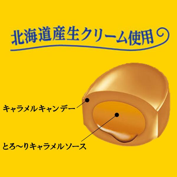 NOBEL ノーベル キャラメルがとろ〜り出てくる濃厚な味わいの