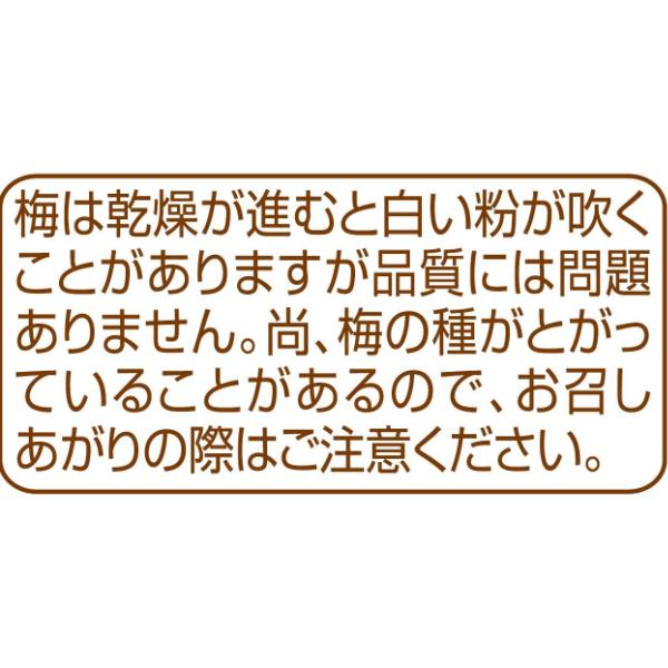なとり 14g 梅スッキリチャック付 (10×10)100入 (干し梅 塩分補給
