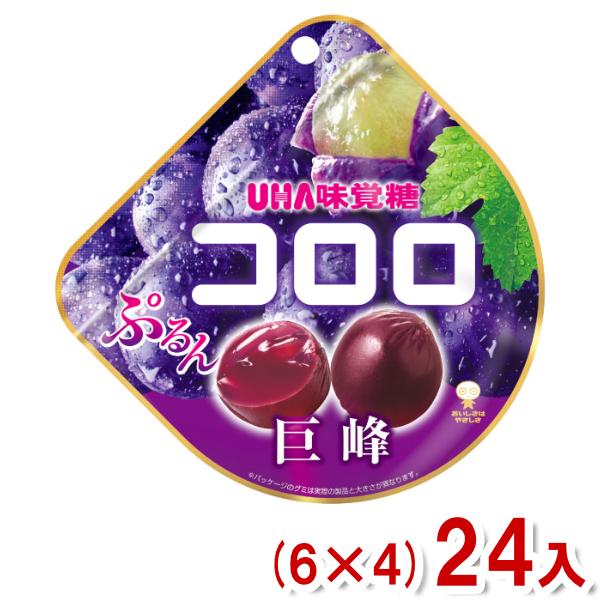 UHA味覚糖 味覚糖 48g コロロ 巨峰 (6×4)24入 (グレープ ぶどう グミ