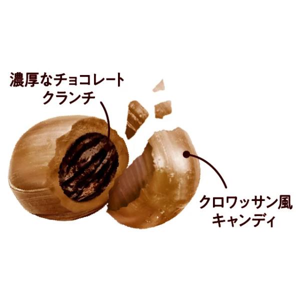 サクマ 50g チョコクロキャンディ (6×2)12入 (キャンディ 飴) (Y80) 本州一部送料無料｜takaoka｜03