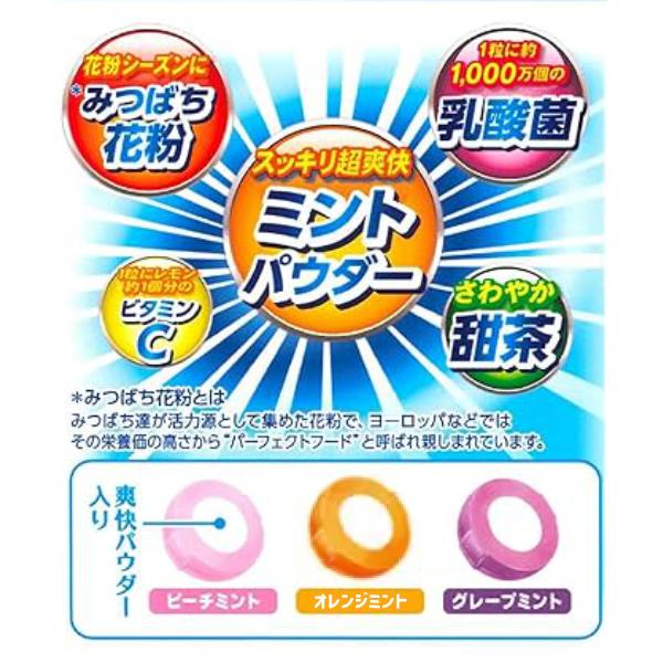 ライオン菓子 花粉プラス はなのど飴 70g×6袋入 (のどあめ キャンディ ミント 飴 アソート お菓子 まとめ買い)｜takaoka｜02