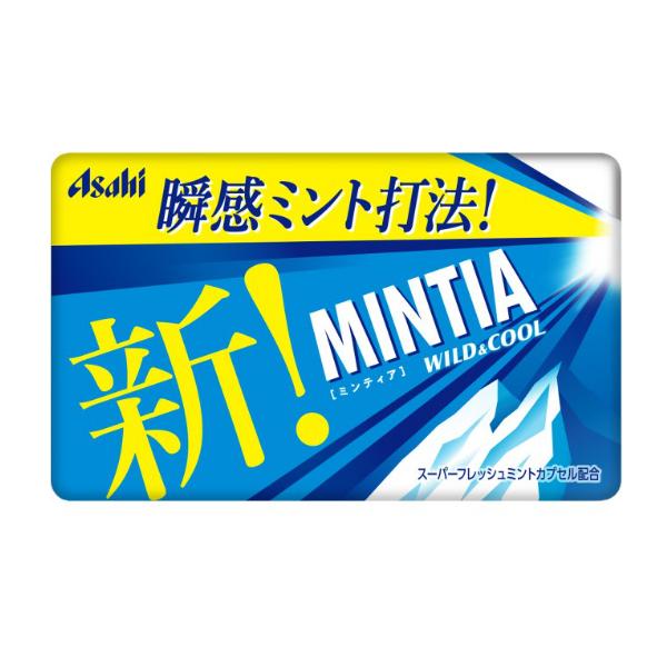 アサヒグループ食品 ミンティア MINTIA ワイルド＆クール (10×20