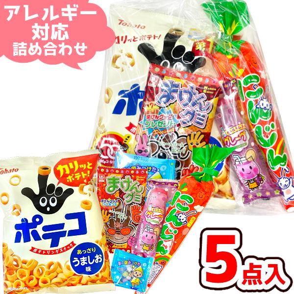 お菓子 駄菓子 袋 詰め合わせ 5点セット (アレルギー対応 A370)(お祭り