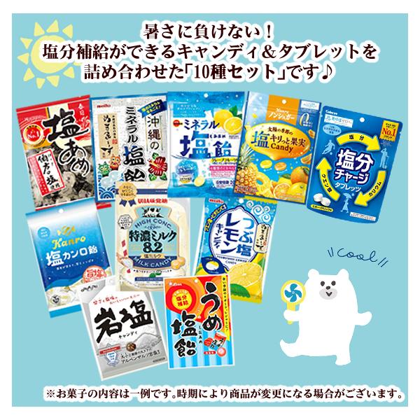 熱中症対策 詰め合わせ お楽しみ 10袋セット (キャンディ タブレット