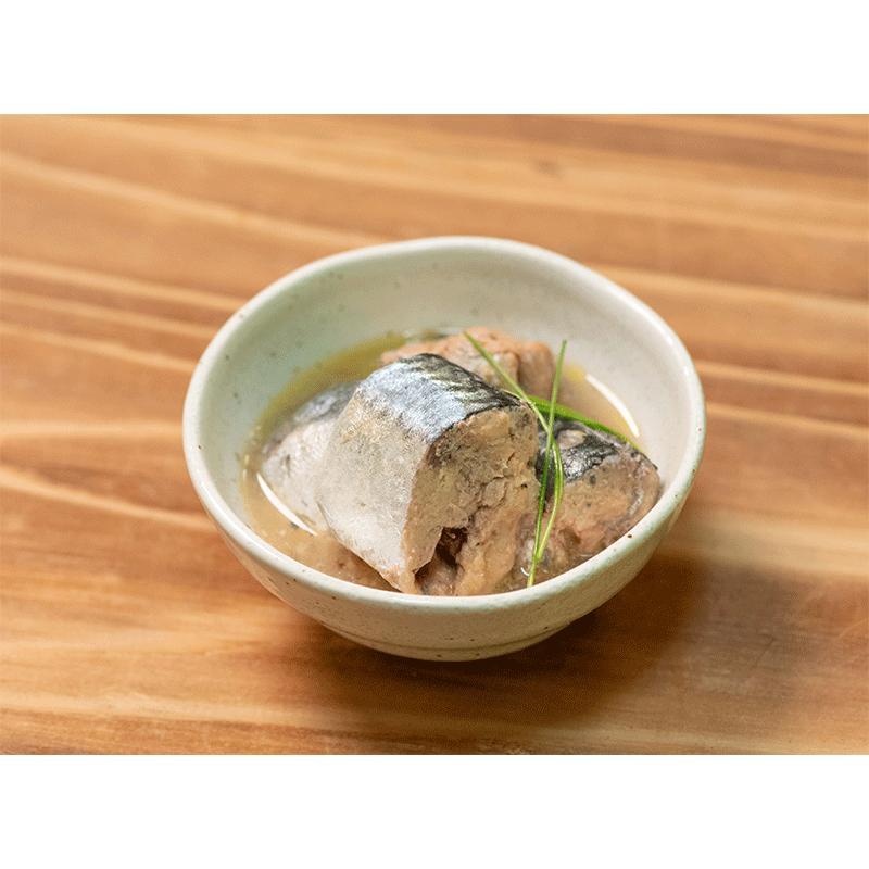 AIKO CHAN あいこちゃん サバ缶 4種類から選べる3ケースセット 鯖味噌