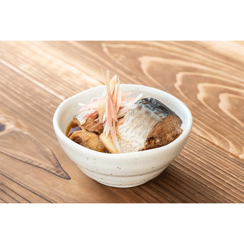 AIKO CHAN あいこちゃん サバ缶 4種類から選べる3ケースセット 鯖味噌