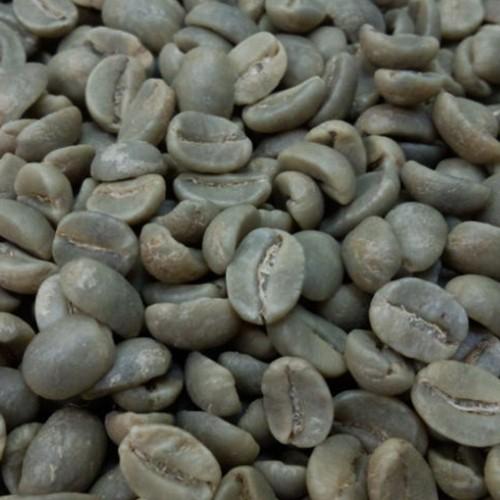 １.8Kg(1800g) ブルーマウンテン　No.1　生豆 ブルーマウンテンNo.1（生豆1kgパック）