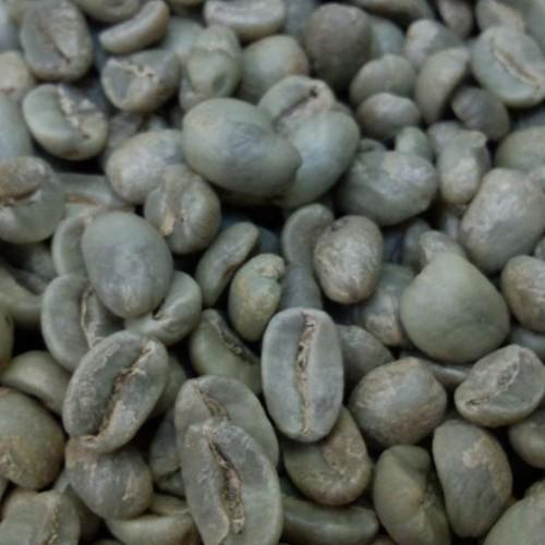 コーヒー 生豆 グアテマラ SHB 500g【送料無料/メール便】 : たかお