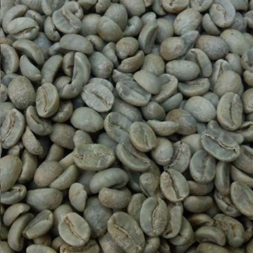 コーヒー 生豆 キューバTL 2kg 送料無料(一部地域を除く