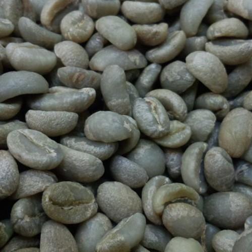コーヒー 生豆 エチオピア モカ イルガチェフG1 2kg 送料無料(一部