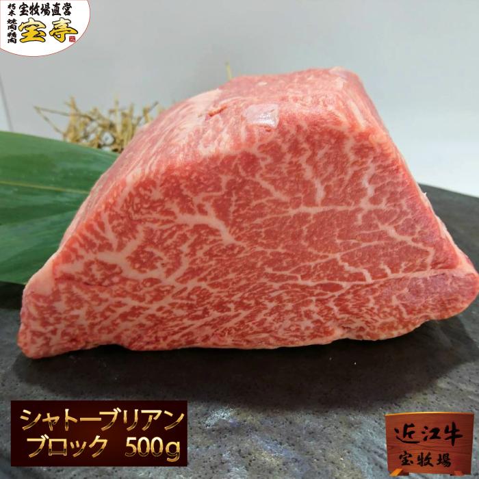 宝牧場 近江牛 限定 シャトーブリアン ブロック ヒレ 和牛 500ｇ 冷蔵 お中元 お歳暮 ギフト 行列 予約の取れない 有名店 Oumisya500 宝牧場直営 焼肉 精肉 宝亭 通販 Yahoo ショッピング