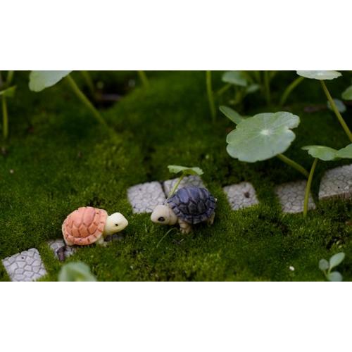 2色海亀 さかな アクアテラリウム テラリウム 水槽 テラリウムフィギュア ミニフィギュア テラリウムキット 箱庭 テラリウム専門店takara 通販 Yahoo ショッピング