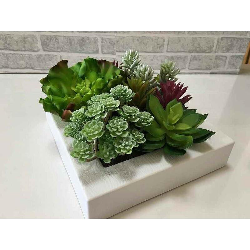 送料無料 多肉植物アレンジメント壁掛け 小 フェイクグリーン アートグリーン 造花 グリーンアート 多肉植物 インテリア Arenj0598 テラリウム専門店takara 通販 Yahoo ショッピング