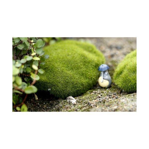 フェイク苔石 小サイズ 特小サイズ 苔テラリウム コケリウム テラリウム フィギュア コケ 苔 イベントう装飾 箱庭 Chenj0067 3 テラリウム専門店takara 通販 Yahoo ショッピング
