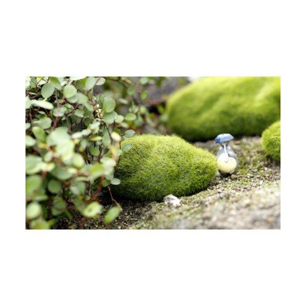 フェイク苔石 中サイズ 苔テラリウム コケリウム テラリウム フィギュア コケ 苔 イベントう装飾 箱庭 Chenj0067 3 テラリウム専門店takara 通販 Yahoo ショッピング