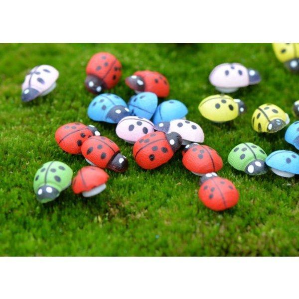 テントウムシ 10個 てんとうむし 昆虫 テラリウム ミニチュア