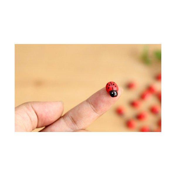 テントウムシ 10個 てんとうむし 昆虫 テラリウム ミニチュア