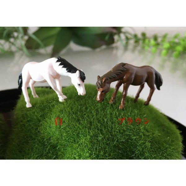 動物フィギュア うま 2色 馬 コケリウム スノードーム ガーデニング