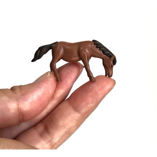 可愛いシマウマのコケリウム コケリウムフィギュア シマウマ｜苔（コケ）のインテリア