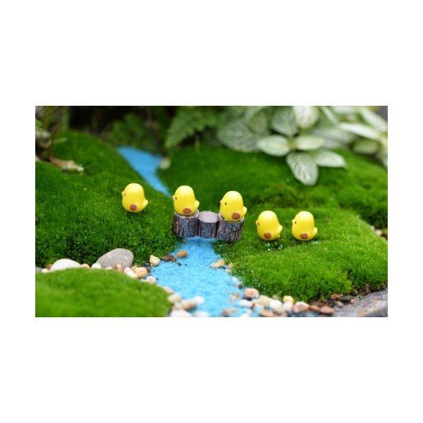 ミニチュア ひよこ 50匹 コケリウム テラリウムフィギュア ミニチュア 動物 テラリウム 水槽 テラリウム ミニ アクアリウム スノードーム かわいい おしゃれ Chenj0103 1 テラリウム専門店takara 通販 Yahoo ショッピング